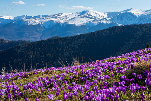 Spring in the mountains © Vitalfoto