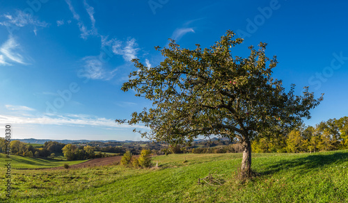 Mansac (Corrèze, France) - Vue panoramique de l'Yssandonnais en automne