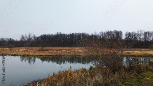 The river among the city park. Late autumn, cloudy. Trees without leaves and dried reeds along the banks of the river. Aerial photography.