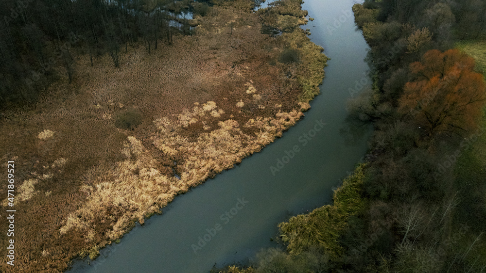 The river among the city park. Late autumn, cloudy. Dried reeds along the banks of the river. Fly the camera down. Aerial photography.
