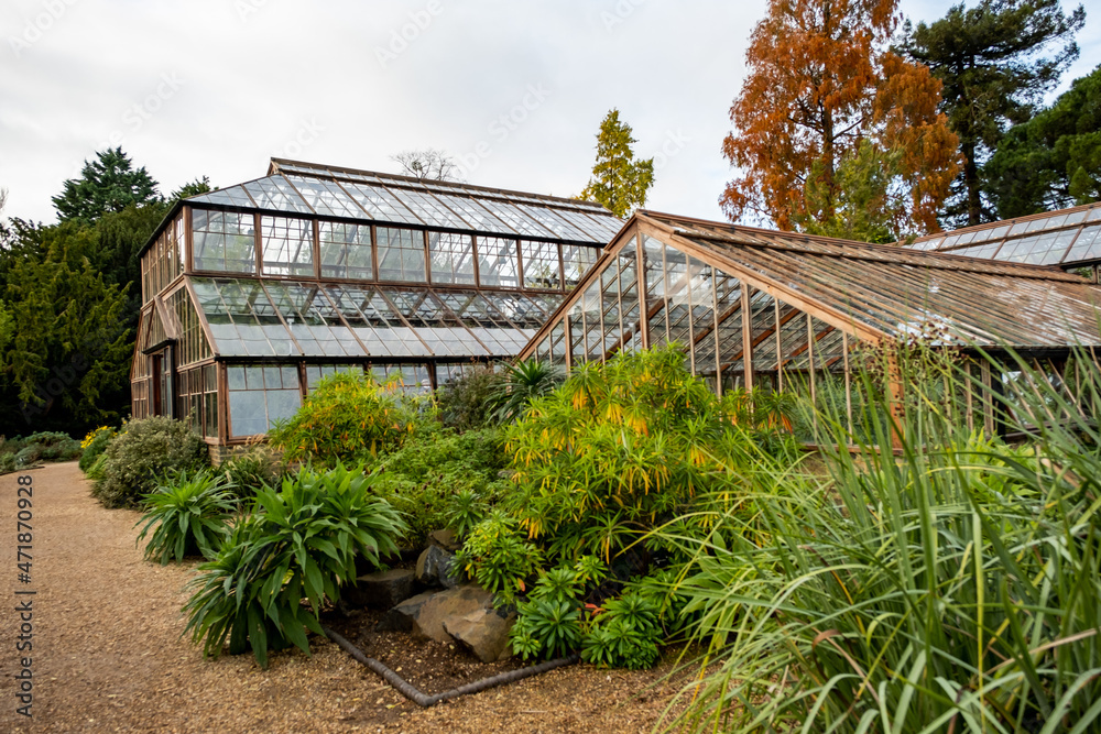 Fototapeta premium Greenhouses, growing houses and glass houses located in the Cambridge Botanical Gardens