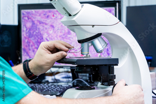 Laboratory assistant works with microscope at the modern laboratory.