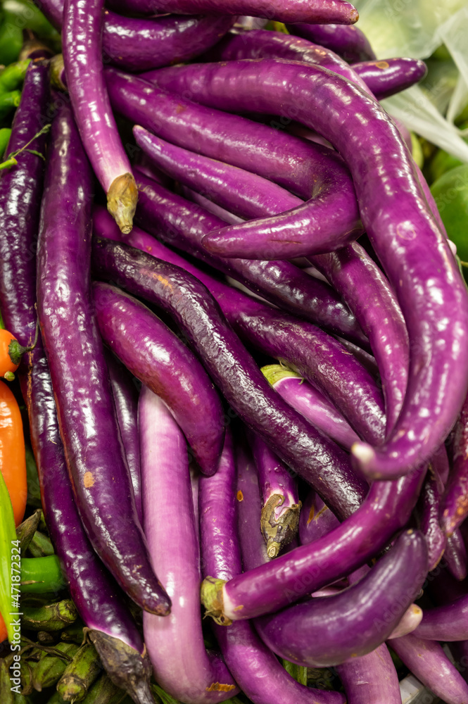 Sicilian long purple eggplants vegetables for sale at Itallian market Sicilian long purple eggplants vegetables for sale at Itallian market