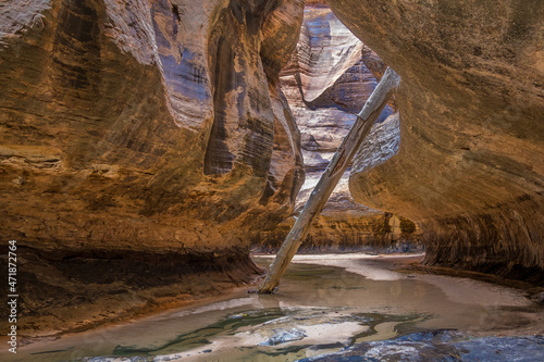 Inside Subway Canyon in Zion National Park