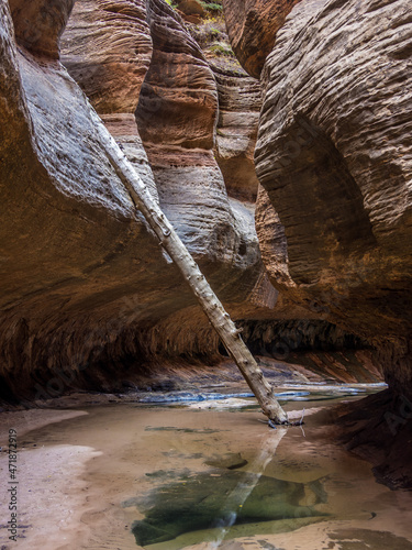 Inside Subway Canyon in Zion National Park