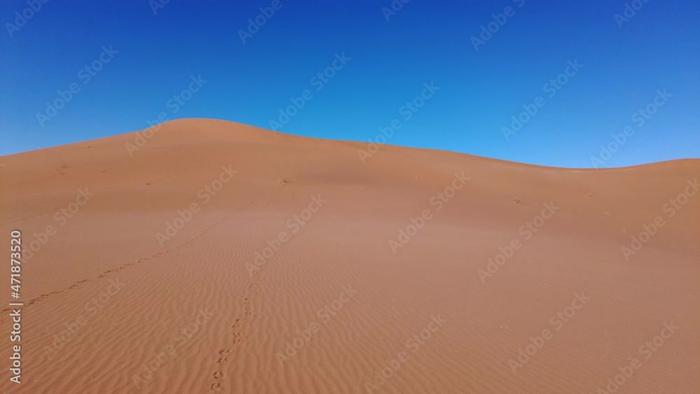 Big orange dune with blue sky - Sossusvlei, Namib desert, Namibia, Southern Africa Big orange dune with blue sky - Sossusvlei, Namib desert, Namibia, Southern Africa