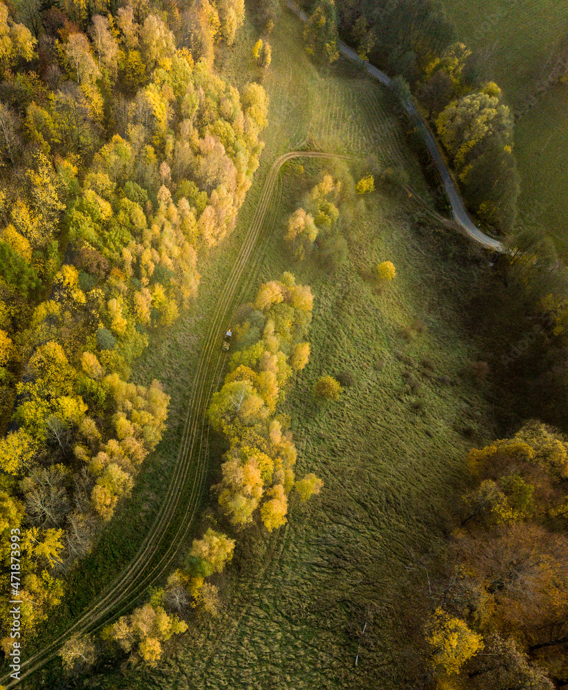 Drone autumn view - Yellow, Red, Green leaves on the tries  - high quality drone photo