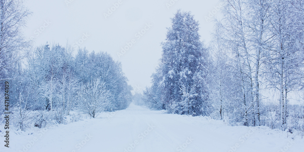 winter snowy cloudy landscape with trees winter snowy cloudy landscape with trees