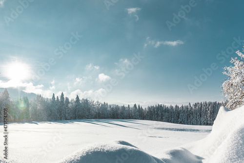 Verschneite Winterlandschaft mit Blauem Himmel und Tannenbäumen