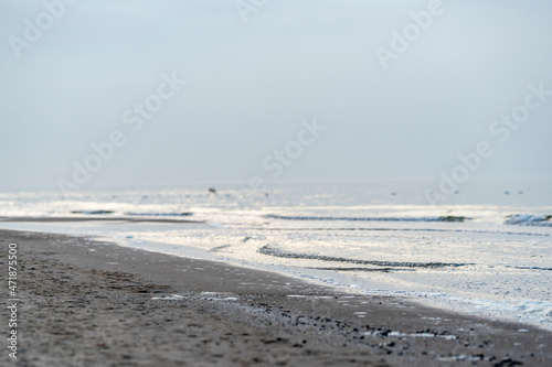 seashore walk  autumn  winter  beach walk  sea  ocean  sand  waves  pattern