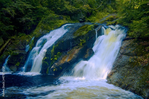 waterfall in the forest