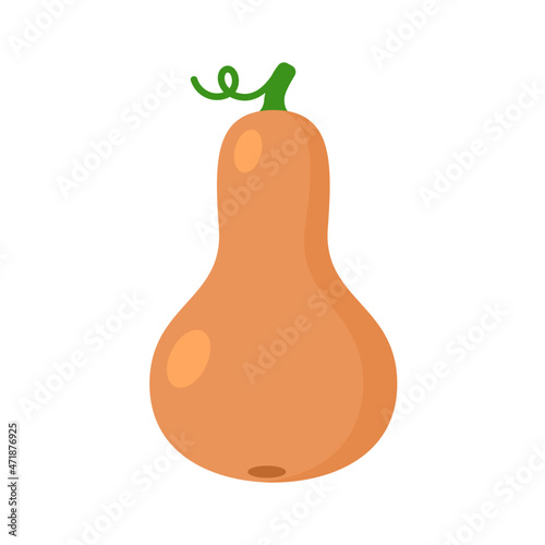 butternut squash gramma pumpkin vector illustration royalty free logo icon clipart  photo