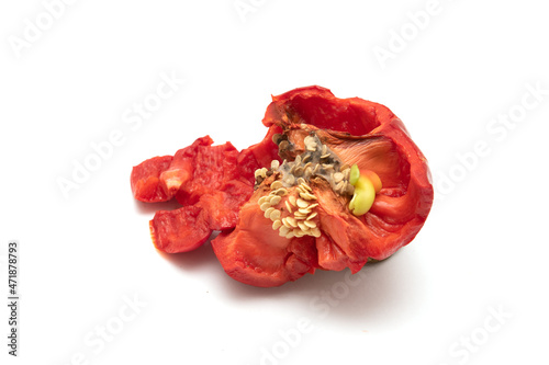 Pieces of broken red bell pepper on a white background.