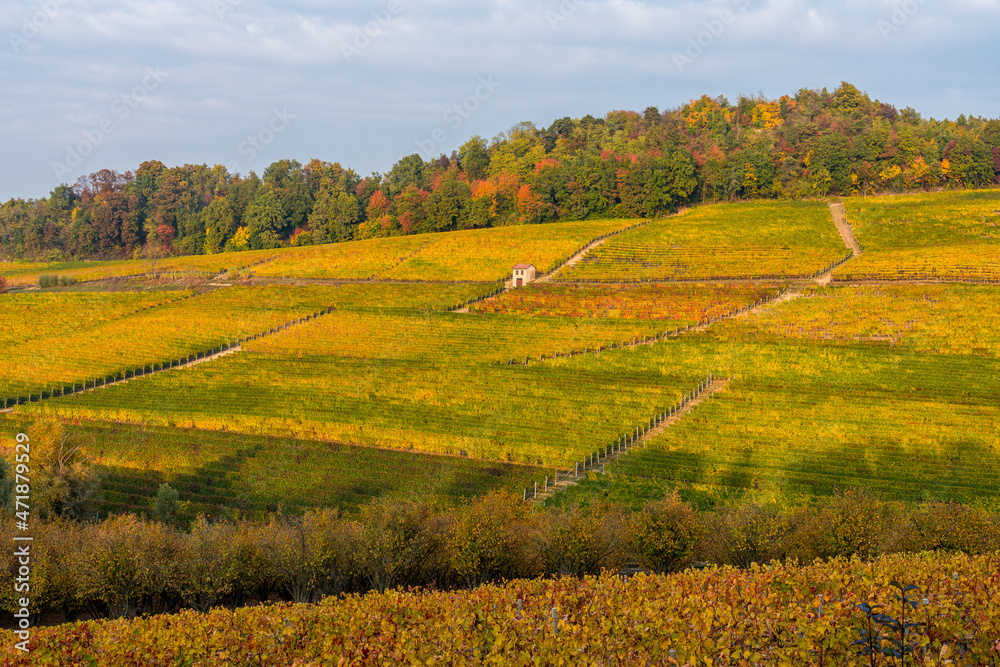 Beautiful hills and vineyards during fall season near Monforte d'Alba. In the Langhe region, Cuneo, Piedmont, Italy.
