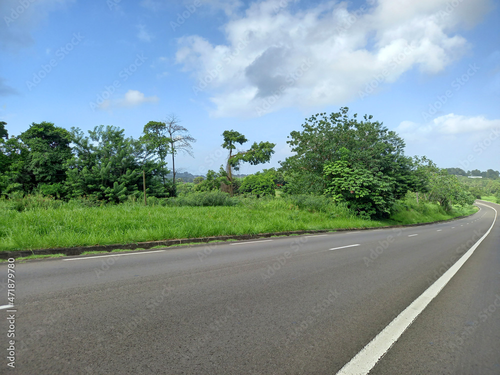 Straight and empty road in the French West Indies with lush vegetation under tropical blue sky with white clouds. Detail of Nature in its purest. Straight and empty road in the French West Indies with lush vegetation under tropical blue sky with white clouds. Detail of Nature in its purest.