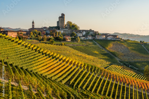 Beautiful hills and vineyards during fall season surrounding Serralunga d'Alba village. In the Langhe region, Cuneo, Piedmont, Italy.