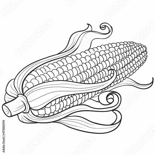 sketch, ear of corn, coloring, isolated object on white background, cartoon illustration, vector,