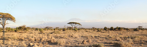 View of  Kilimandjaro Mountain in Amboseli Park