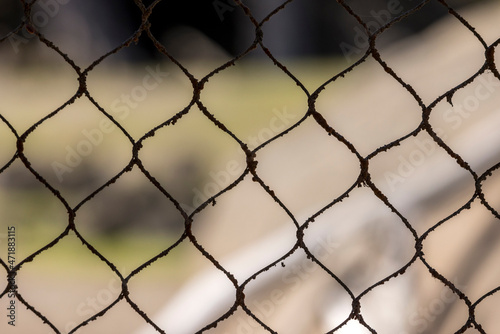 Silhouette filthy chain link fencing with hair and dirt hanging from it