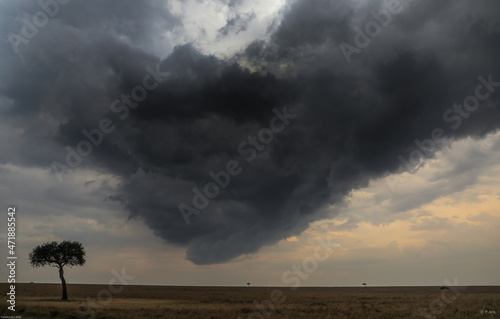 storm on the masai mara