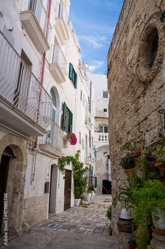 Fototapeta Naklejka Na Ścianę i Meble -  Characteristic alley in the center of Monopoli (Puglia, Italy)
