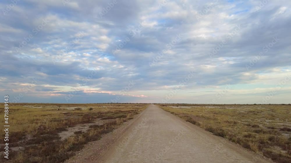 Safari off-road vehicle driving on sunny remote dirt road with amazing blue cloudy sky- Eshota National Park, Namibia Safari off-road vehicle driving on sunny remote dirt road with amazing blue cloudy sky- Eshota National Park, Namibia