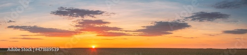 Landscape Of Wheat Field Under Scenic Summer Dramatic Sky In Sunset Dawn Sunrise. Skyline. Panorama  Panoramic View