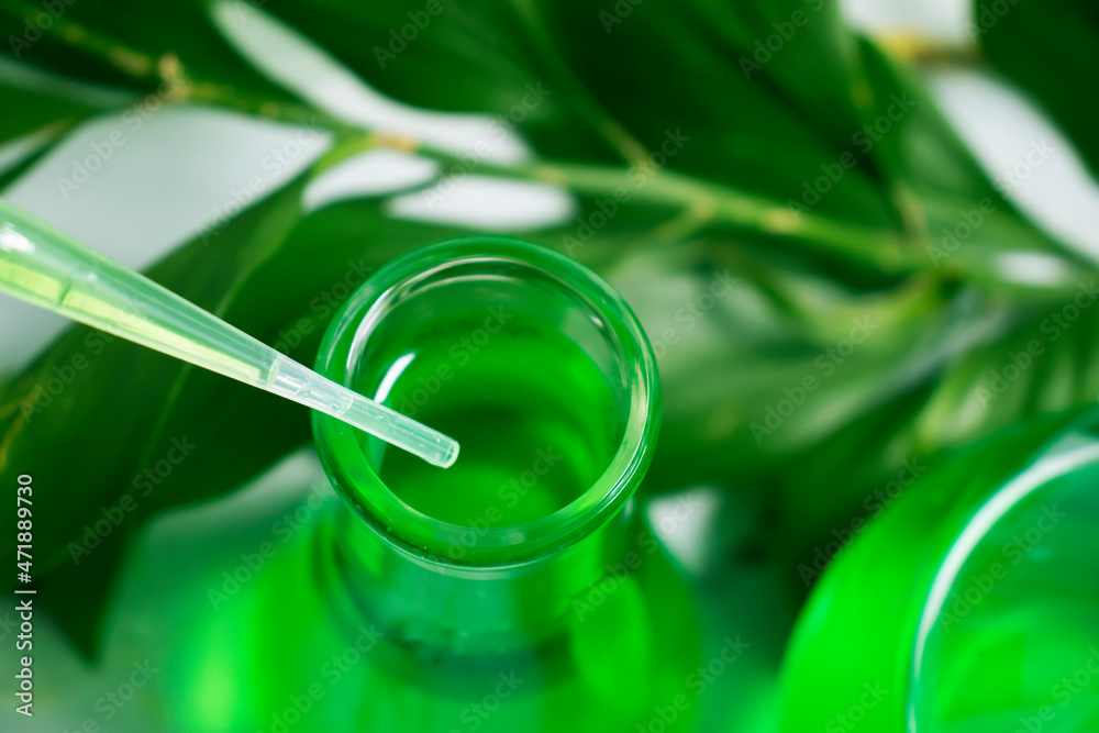 laboratory flask flower on a light background laboratory flask flower on a light background
