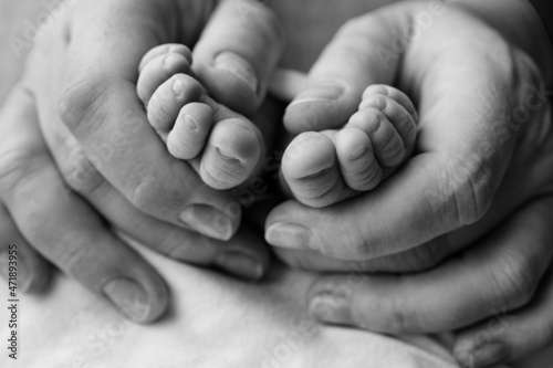 Legs, toes, feet and heels of a newborn. The hands of parents, father, mother.