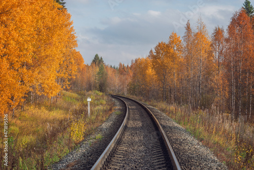 Long railway line at autumn day.