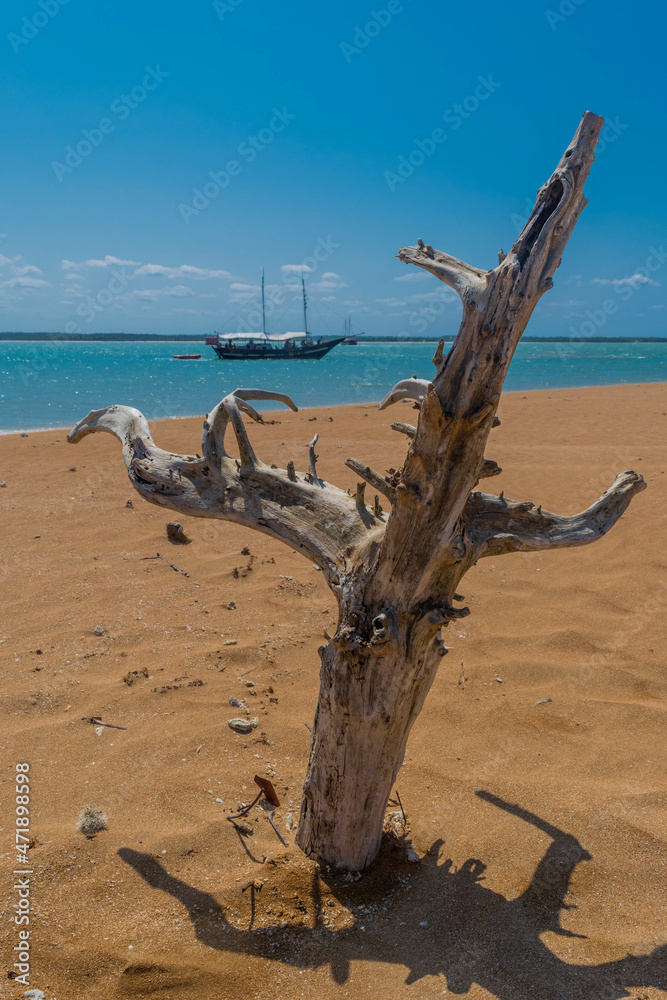 linda praia com areias escuras e tronco seco árvore e barco ao fundo 