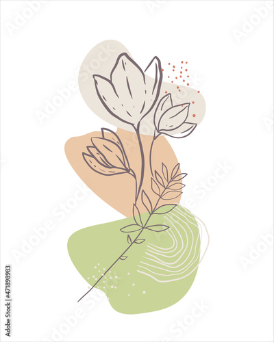 caver Minimal floral line art. Modern abstract shapes background. Trendy design. Pastel color palette. hand drawing