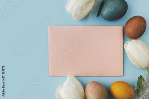 Fototapeta Naklejka Na Ścianę i Meble -  Stylish greeting card, easter eggs and tulips flat lay on blue background. Modern colorful natural dyed eggs, white flowers, blank postcard. Happy Easter! Greeting card mock up, space or text