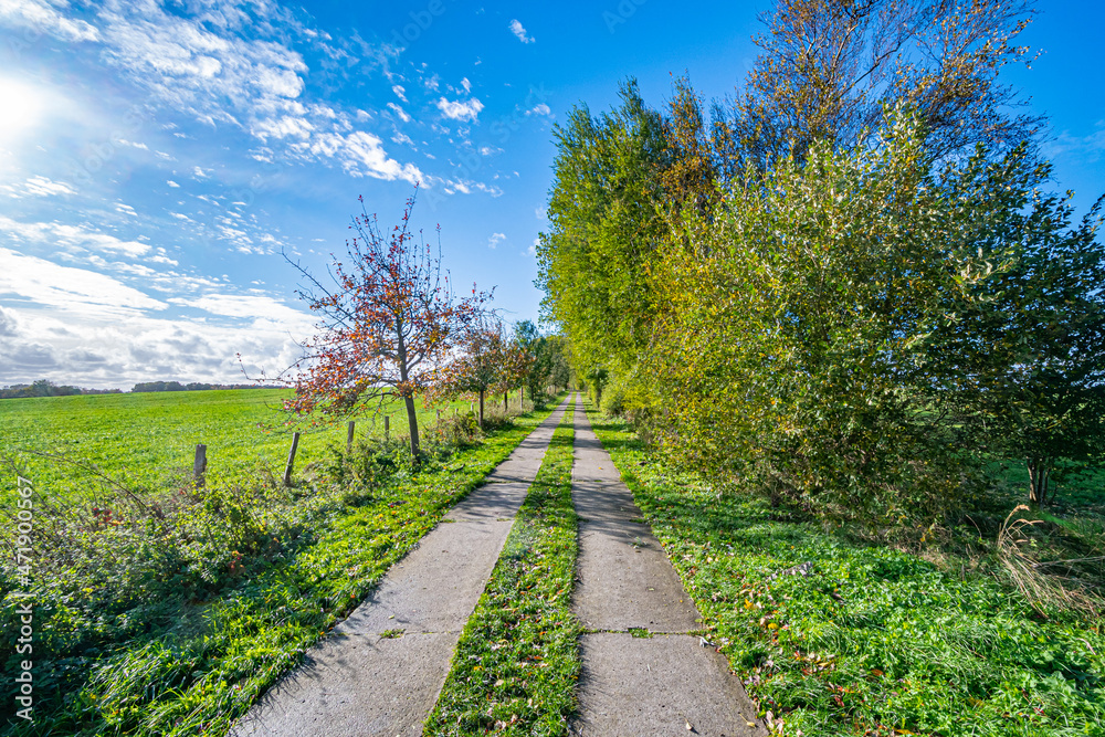 Radweg und Wanderweg bei Ahrenshoop Fischland Darß