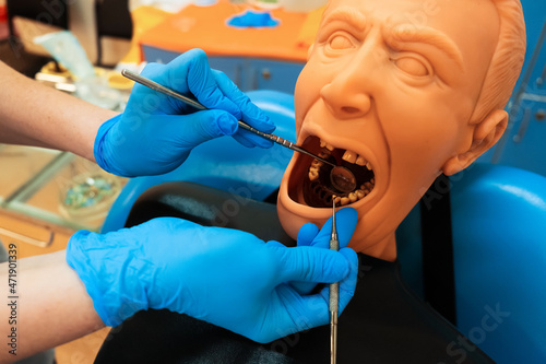 Mannequin or dummy for dentist students