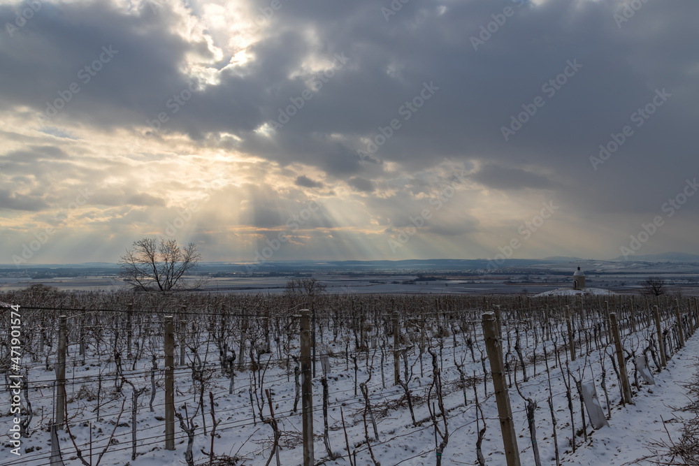 Beautiful snowy landscape in South Moravia in the Czech Republic.