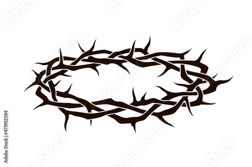 black crown of thorns image isolated on white background