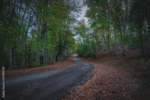 Strada di montagna