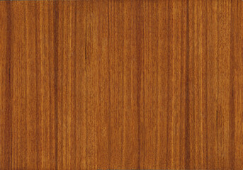 Quarter cut teak wood texture seamless
