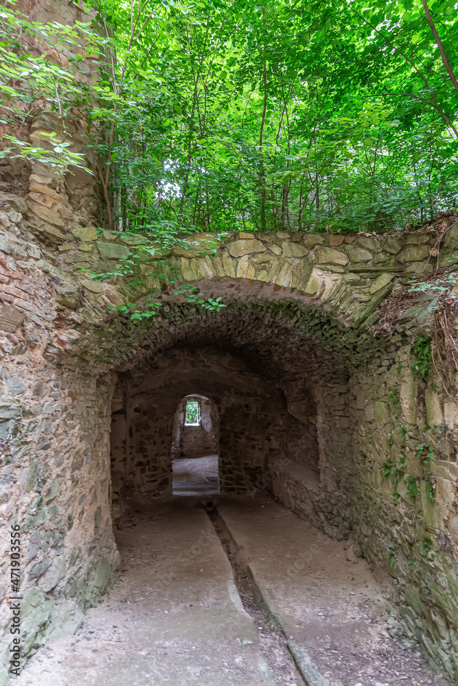 Fototapeta premium Ruins of castle Landsee in Burgenland Austria