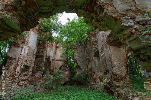 Fototapeta Naklejka Na Ścianę i Meble -  Ruins of castle Landsee in Burgenland Austria