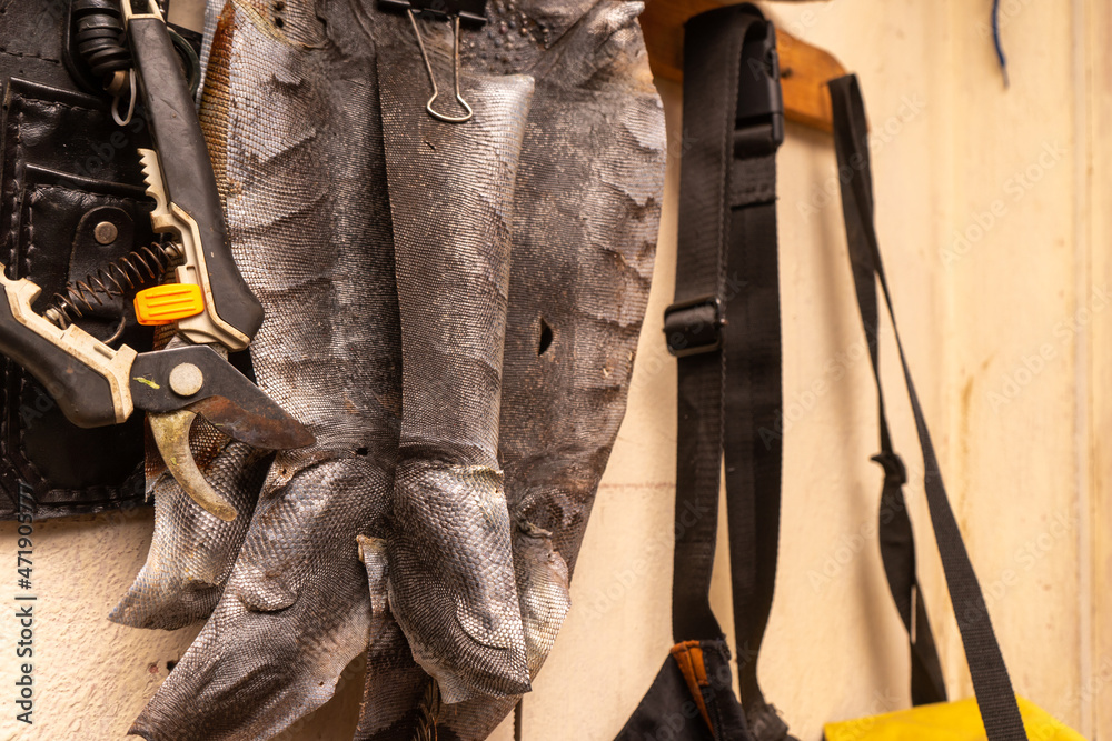 Iguana skin hanging in a wall in an open market. Iguana skin hanging in a wall in an open market.