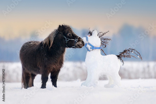 Obraz na plátně Funny little pony with a horse shaped snowman in winter