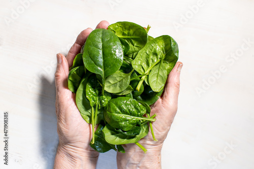 fresh spinach leaves in woman's hands on white wooden background