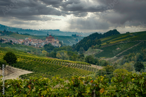 The vineyards in the Piedmontese Langhe in autumn