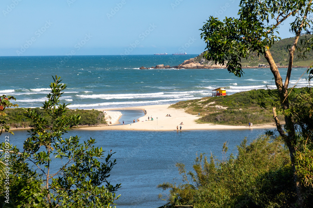 Lake and beach with some tree in foreground Lake and beach with some tree in foreground