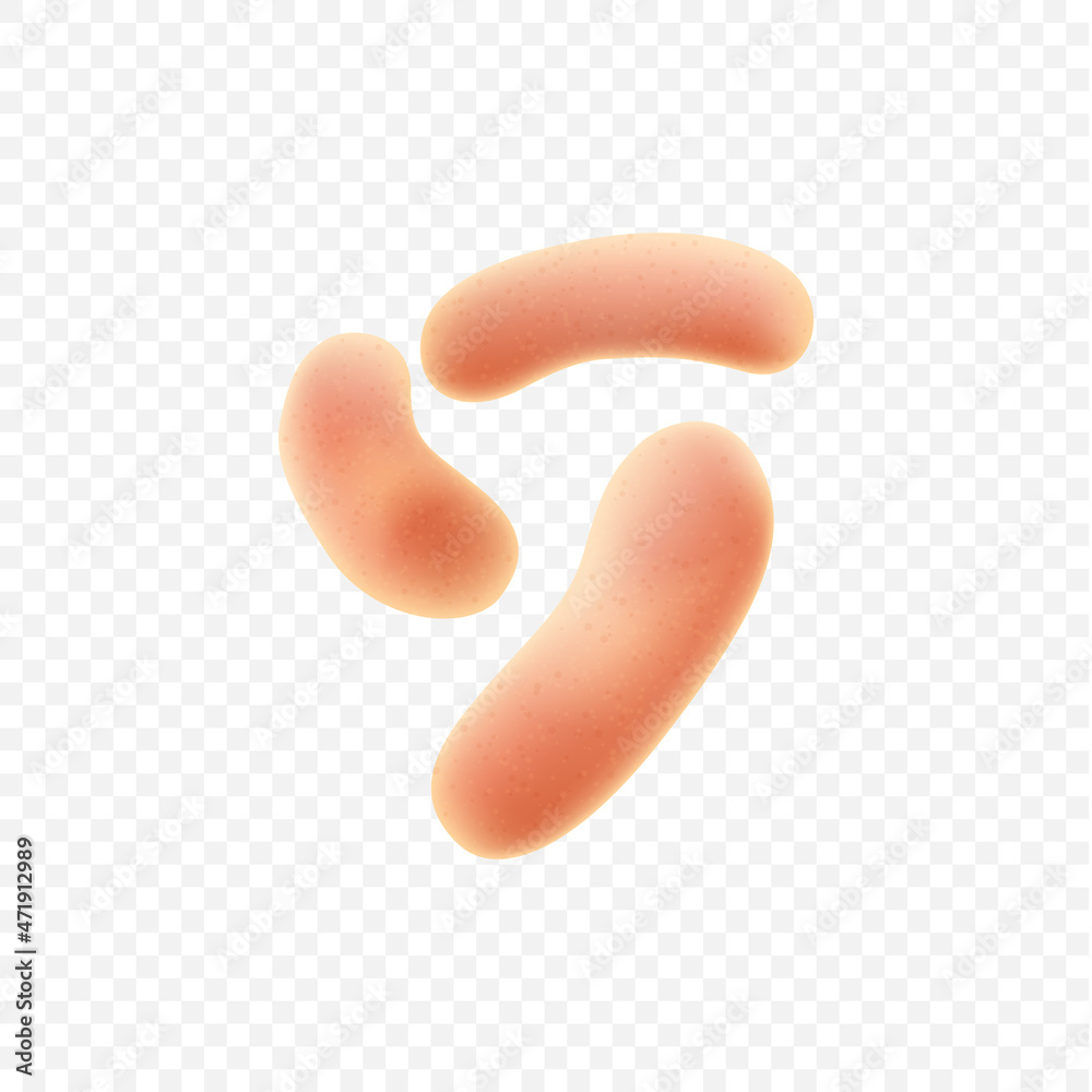 Set of symbiotic human bacteria. Probiotic microorganisms colony. Human intestinal microflora Set of symbiotic human bacteria. Probiotic microorganisms colony. Human intestinal microflora