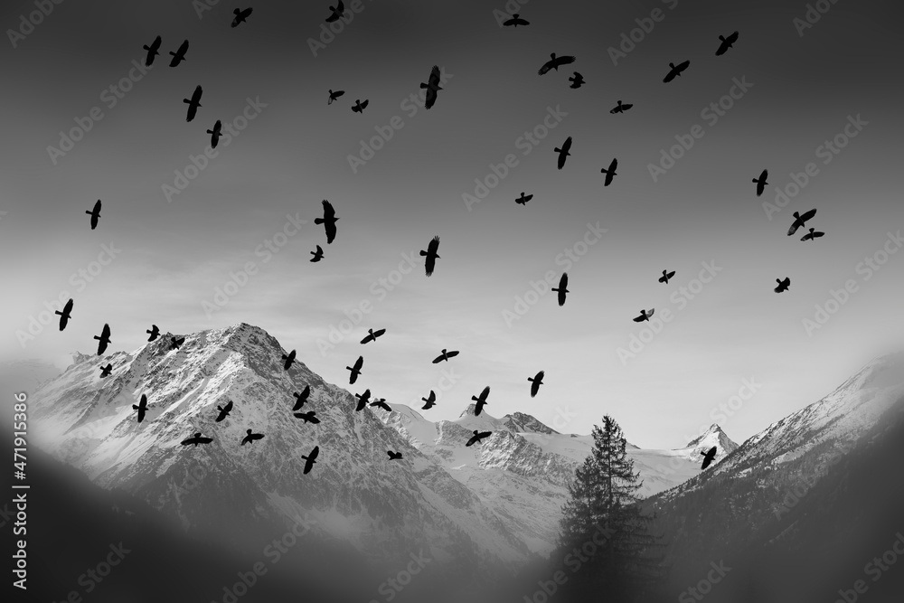 Fototapeta premium High mountains covered with snow - Alps in winter and birds