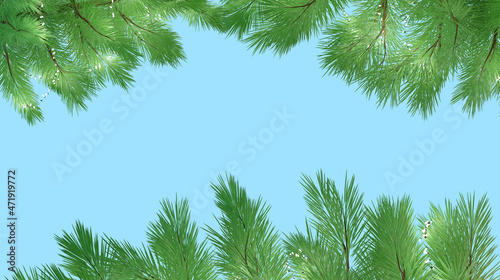 Border with realistic Christmas tree branches  3d render. Christmas design isolated on a blue background. 3d pine branches  frame