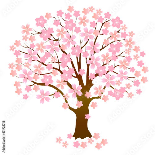 桜　春　木　アイコン